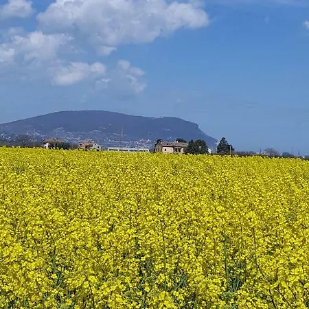 Villa Villetta Del Conero Porto Recanati