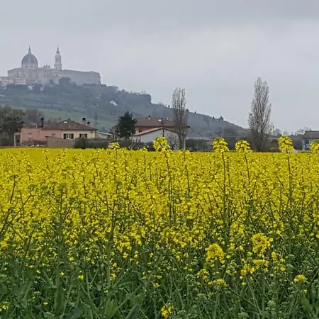 Villetta Del Conero *
